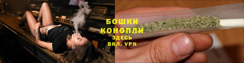 Конопля Ganja  Руза 